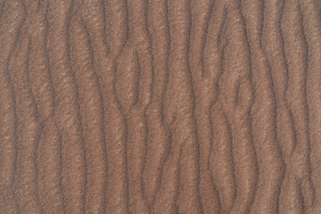 Fototapeta na wymiar Sand Texture. Background from fine sand
