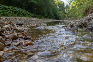 Small mountain river in a green forest
