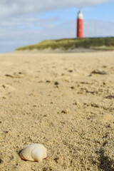 shell with lighthouse