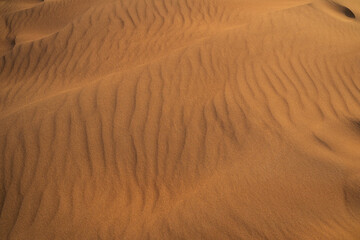 Sand Texture. Background from fine sand - 428734373