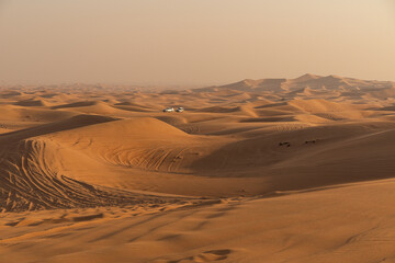 Desert safari tour in UAE. Four wheel drive desert safari car driving in desert sands on sunset - 428734522
