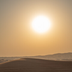 Landscape of desert dunes at sunset - 428734569