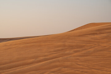 Landscape of desert dunes at sunset - 428734599
