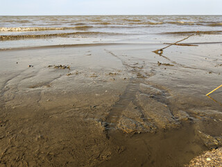 Ebbe im Wattenmeer