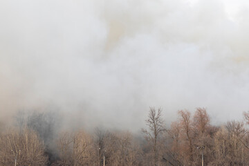 Smoke from a fire in a forest. Lighting poles along the road.