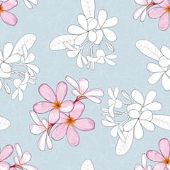 Naklejka na ściany i meble Seamless pattern floral with pink pastel Frangipani flowers abstract background.Vector illustration hand drawn line art.for fabric textile print design