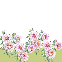 flowers border with peonies