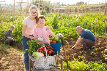 Fototapeta premium Portrait of happy boy and teenage girl standing with freshly picked greens and vegetables in garden in background with working parents.