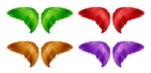 Angel wings an isolated on white background