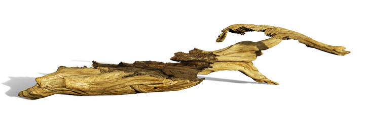 driftwood, old and dry trunk isolated on white background