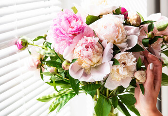 Beautiful pink peony bouquet in a vase.
