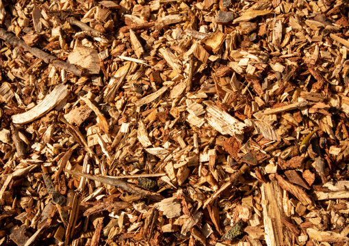 Wood Sliver Cut Piled As Backround