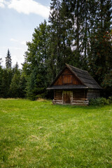 A wooden cabin in the woods in the mountains