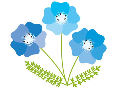 青い花 Images Browse 3 390 Stock Photos Vectors And Video Adobe Stock