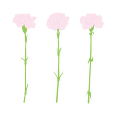 Carnation flower illustrations set.