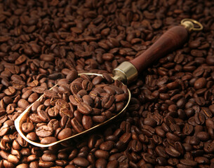 Coffee beans and scoop. closeup