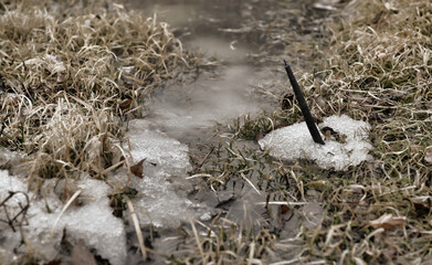Grunge still life with black candle in the grass in late winter season.  Esoteric, gothic and occult background, Halloween mystic and wicca concept outdoors.