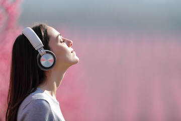 Woman meditating listening audio on headphones in a field - obrazy, fototapety, plakaty