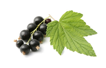 A brush of ripe currant berries with a green leaf isolated on a white background.