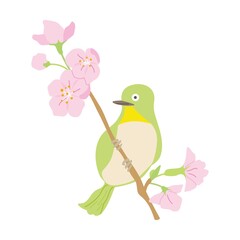 桜と鳥のイラスト