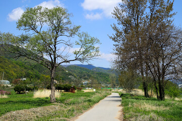 Fototapeta na wymiar Trail along the Bukhan River side, Daeseong-ri National Tourist Site, Gapyeong, South Korea