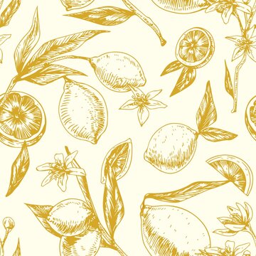 Seamless monochrome pattern with citrus fruits on blooming lemon tree branches with leaves. Endless repeatable background in retro style. Hand-drawn vector illustration for printing and decoration