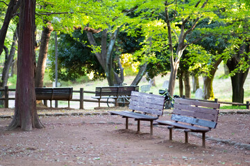 【上尾平塚公園】木製ベンチ