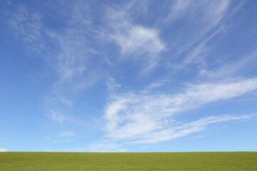 sky and gras