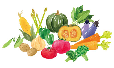 野菜の水彩イラストセット
