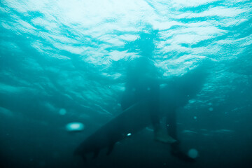 Fototapeta na wymiar Underwater View of Surfer Sitting on the Surfboard. Water Sport