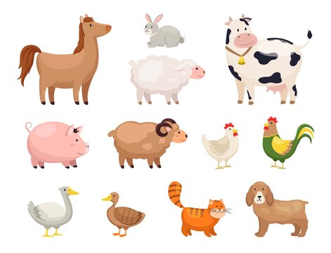 Farm animals. Funny cartoon domestic birds, rural life, cute comic characters, horse and geese, chicken and duck, cow and sheep, goat and rabbit, maintenance livestock vector isolated set