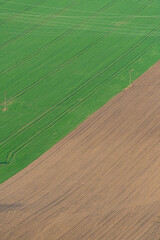 Border between dry and green field.