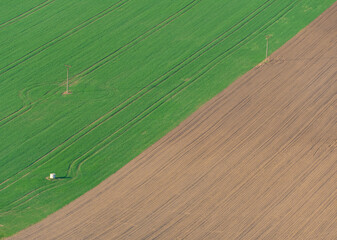 Border between dry and green field.