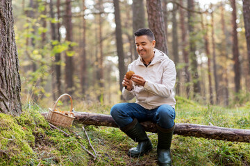 picking season and leisure people concept - happy smiling middle aged man with wicker basket of...