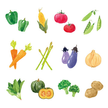 野菜の水彩イラストセット