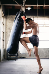 Muaythai kickboxing of punching bag.