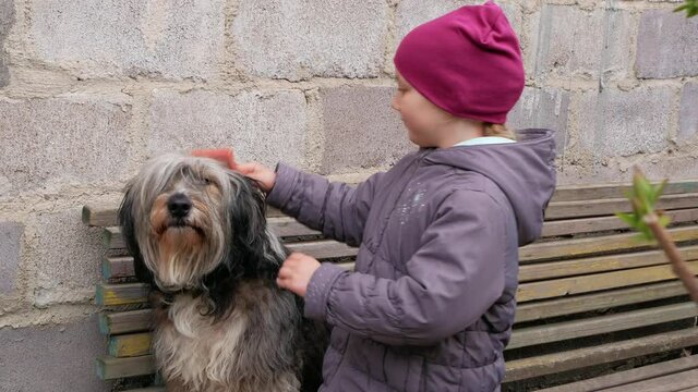Young girl combing big fluffy dog. Care for long fur animals. Combs for pets. Love supportng caring puppy adoption concept. Polish Lowland Sheepdog sits on wooden bench.Street homeless mongrel shelter