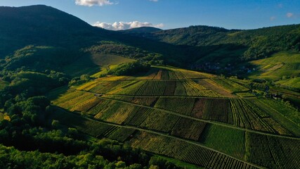 Vignoble d'alsace en automne