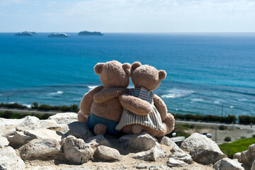 Two teddy bears on mountain with scenic sea view