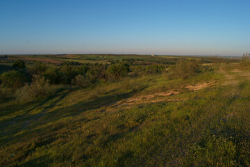 pola zieleń wiosna widok krajobraz rośliny 