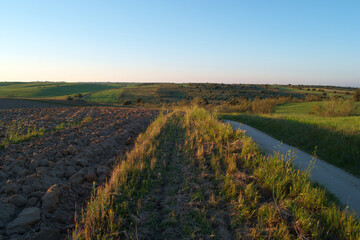 pola krajobraz zboże wiosna niebo zieleń © Piotr