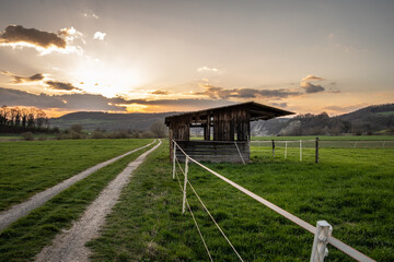 Fototapeta na wymiar Old dilapidated barn in the meadow in Germany