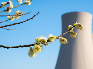Willow catkins branch against a nuclear power plant