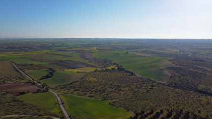 pola zieleń wiosna widok krajobraz rośliny  © Piotr
