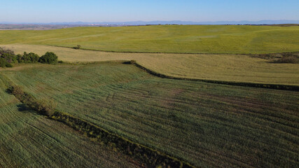 pola zieleń wiosna widok krajobraz rośliny  © Piotr