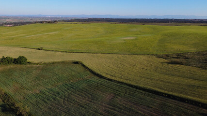pola zieleń wiosna widok krajobraz rośliny  © Piotr