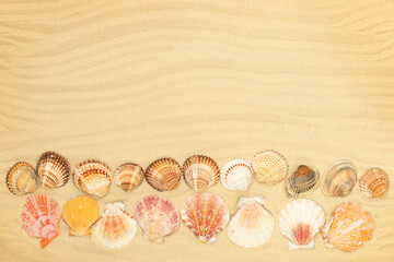Summer background with seashells on the sandy beach	
