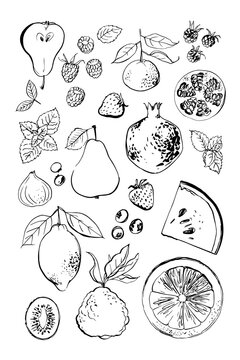 Poster food fruit watercolor ink. Lemon, pomegranate, figs, berries, watermelon