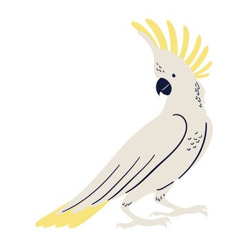 Vector cartoon tropical illustration with umbrella cockatoo parrot.