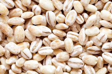Pearled barley dried closeup flat food texture background. Two-row barley with husks seeds macro top view. Concept of vegetarianism and healthy eating.